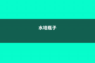 水培瓶里撒点它，花草10年不黄叶，长疯了！ (水培瓶子)