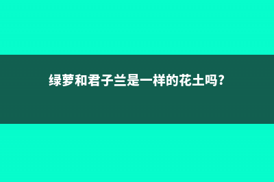 绿萝君子兰...山东大妈这么养，年年长爆盆！ (绿萝和君子兰是一样的花土吗?)