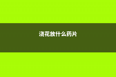 浇花加点小药片，365天不黄叶，一窜2米高！ (浇花放什么药片)