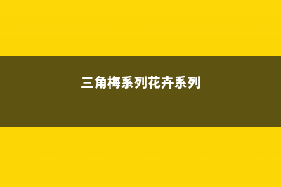 月季三角梅…只要1个塑料瓶，呼呼冒出大白根，1个月就爆盆了！ (三角梅系列花卉系列)