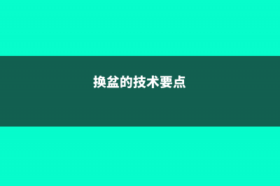 换盆的最佳时期到了，晚了全年不开花！ (换盆的技术要点)