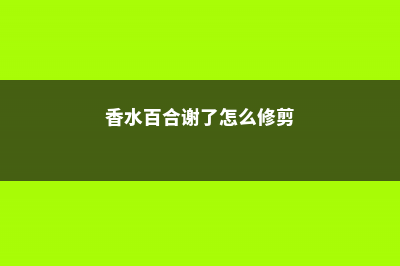 香水百合怎么修剪 (香水百合谢了怎么修剪)