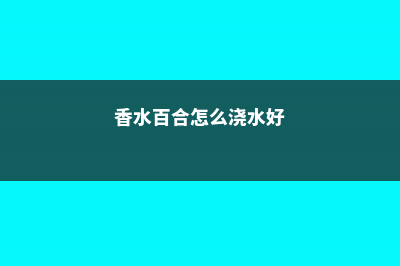 香水百合怎么浇水 (香水百合怎么浇水好)