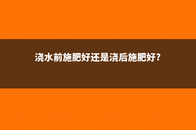 浇水前多1个小动作，花再也不烂根，开花刹不住闸！ (浇水前施肥好还是浇后施肥好?)