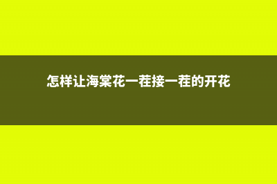 海棠花怎么延长花期 (怎样让海棠花一茬接一茬的开花)