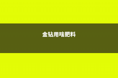 金钻怎么施肥 (金钻用啥肥料)