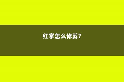 红掌怎么修剪 (红掌怎么修剪?)