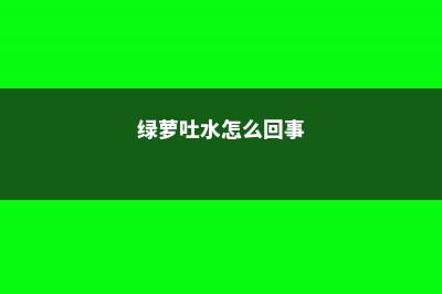 绿萝竟然狂吐水，恭喜你，养了一盆健壮的绿萝！ (绿萝吐水怎么回事)