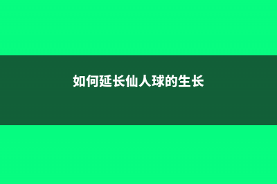 如何延长仙人球的花期 (如何延长仙人球的生长)