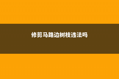 路边剪个枝，扔盆里就疯长，果子多的吃不完！ (修剪马路边树枝违法吗)