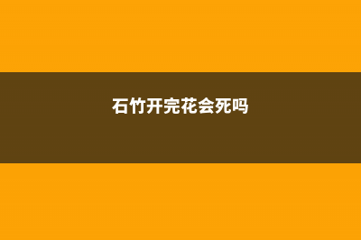 石竹开花前后怎么养护 (石竹开完花会死吗)