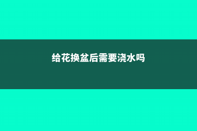 给花换盆，竟然不懂这些？难怪黄叶死翘翘！ (给花换盆后需要浇水吗)