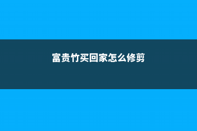 富贵竹买回家，10棵死了9棵，扎心了！ (富贵竹买回家怎么修剪)