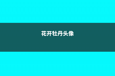 花开赛牡丹，飘过满屋香，这花养1盆，平安祥瑞齐到家！ (花开牡丹头像)