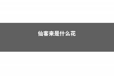 仙客来花期怎么延长 (仙客来是什么花)