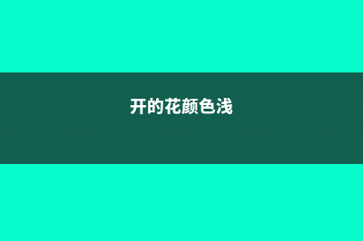 家的花颜色越开越淡？随手加点它，花像打了鸡血，红艳艳一片！ (开的花颜色浅)