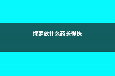 绿萝用什么药长得快 (绿箩放什么药长得快)