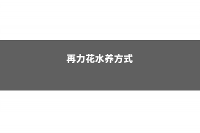 再力花的养殖及注意事项 (再力花水养方式)