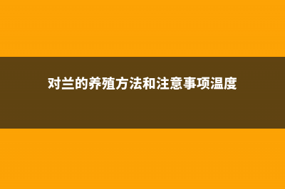 对兰的养殖方法和注意事项 (对兰的养殖方法和注意事项温度)