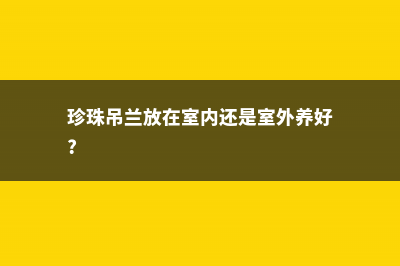 珍珠吊兰冬天不好过？掌握好这三点，平安越冬！ (珍珠吊兰放在室内还是室外养好?)