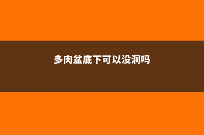 多肉盆底撒点小东西，呼呼长爆盆，20年不烂根！ (多肉盆底下可以没洞吗)