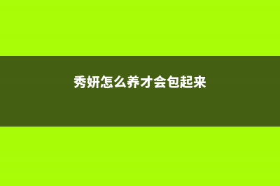 秀妍怎么繁殖 (秀妍怎么养才会包起来)