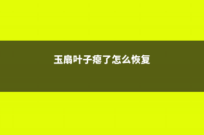 玉扇怎么叶插 (玉扇叶子瘪了怎么恢复)