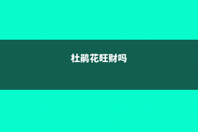 杜鹃发财树…长出这种枝，赶紧剪，花才能越长越壮，开花不断！ (杜鹃花旺财吗)