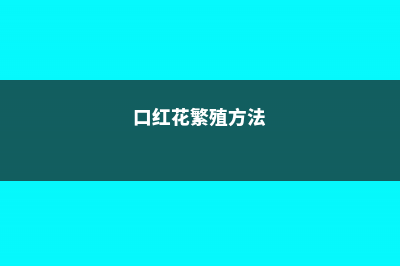 口红花的繁殖方法 (口红花繁殖方法)