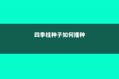 四季桂种子怎么种 (四季桂种子如何播种)