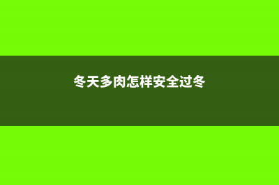 如何给多肉在冬季制造温差 (冬天多肉怎样安全过冬)