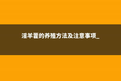 淫羊藿的养殖方法及注意事项 