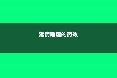 延药睡莲的栽培方法 (延药睡莲的药效)