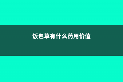 饭包草与鸭拓草的区别 (饭包草有什么药用价值)