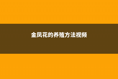 金凤花的养殖方法及注意事项 (金凤花的养殖方法视频)