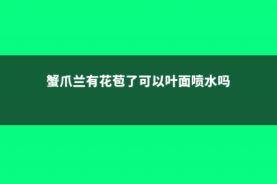 蟹爪兰有花苞了怎么养 (蟹爪兰有花苞了可以叶面喷水吗)