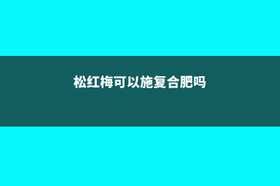 松红梅怎么施肥 (松红梅可以施复合肥吗)