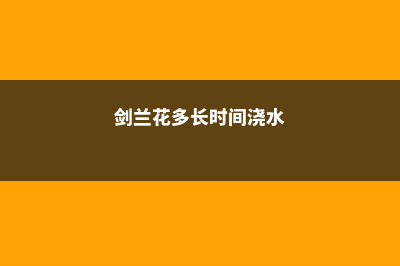 剑兰多久浇水 (剑兰花多长时间浇水)