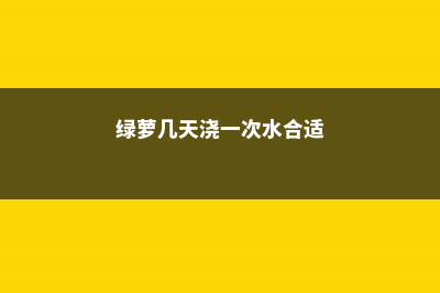 绿萝几天浇一次水 (绿萝几天浇一次水合适)