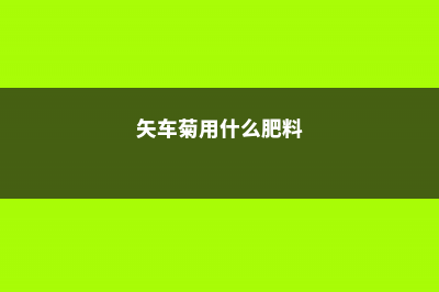 矢车菊怎么施肥 (矢车菊用什么肥料)