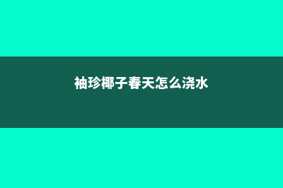 袖珍椰子多久浇一次水 (袖珍椰子春天怎么浇水)