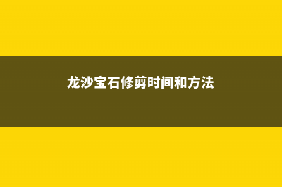 龙沙宝石怎么修剪 (龙沙宝石修剪时间和方法)