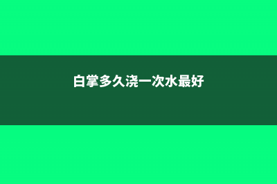 白掌多久浇一次水 (白掌多久浇一次水最好)