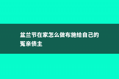 盆距兰怎么施肥 (盆兰节在家怎么做布施给自己的冤亲债主)