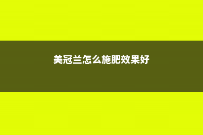 美冠兰怎么施肥 (美冠兰怎么施肥效果好)