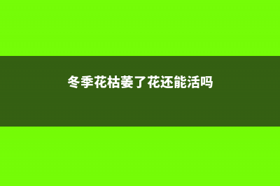 冬季花枯萎了花藤怎么修剪 (冬季花枯萎了花还能活吗)