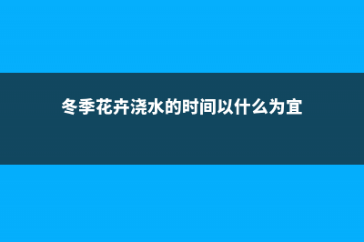 冬季花卉的浇水时间 (冬季花卉浇水的时间以什么为宜)