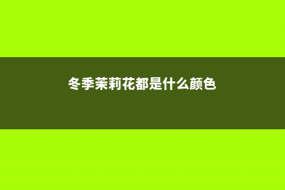 冬季茉莉花都是这样死的！一定要当心！ (冬季茉莉花都是什么颜色)