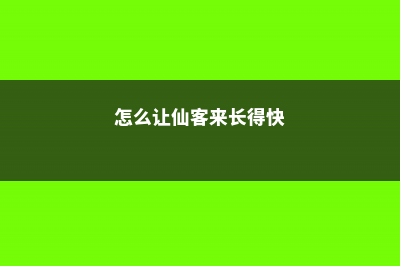 如何使仙客来在元旦开花 (怎么让仙客来长得快)