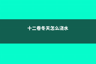 十二卷在冬天怎样保持晶莹 (十二卷冬天怎么浇水)